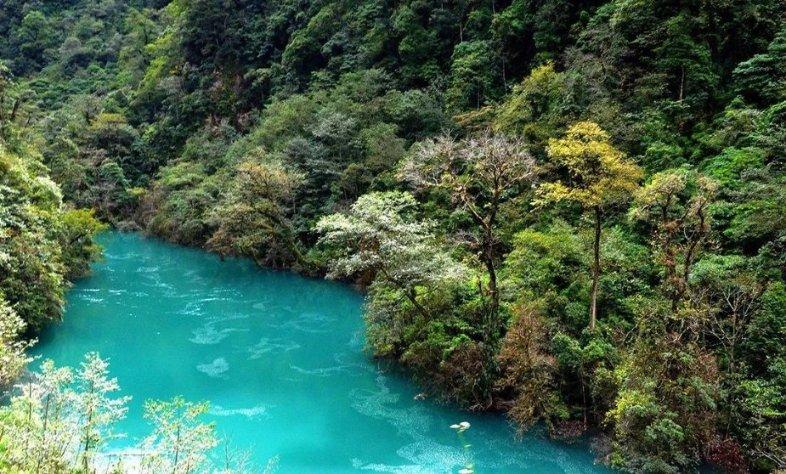 温岭东海线上年货节 凭实力直播出圈