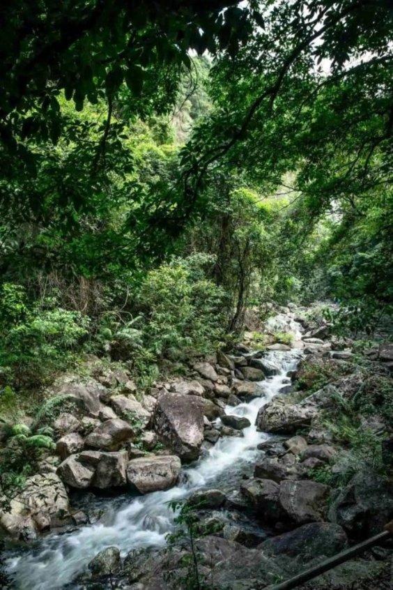 工作几年的“老油条”到底是什么样？游戏画面